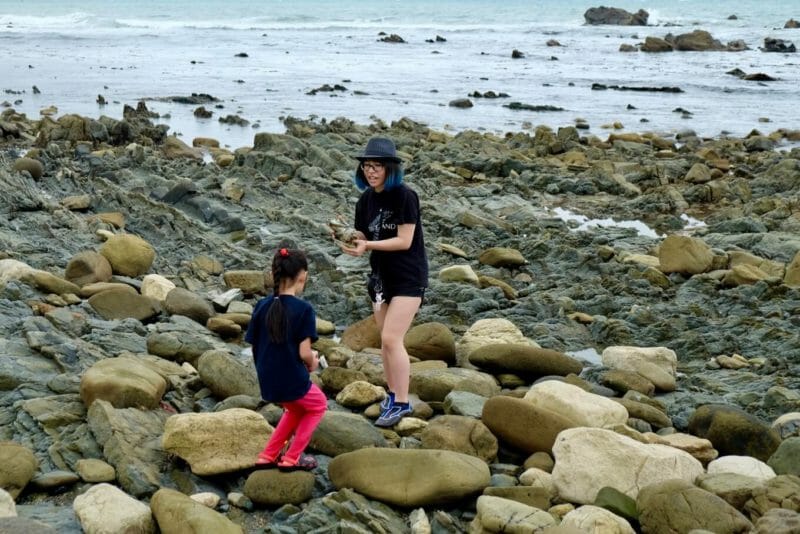 rocky-wairarapa-coastline