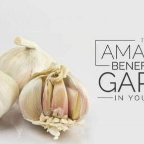 The Amazing Benefits of Garlic