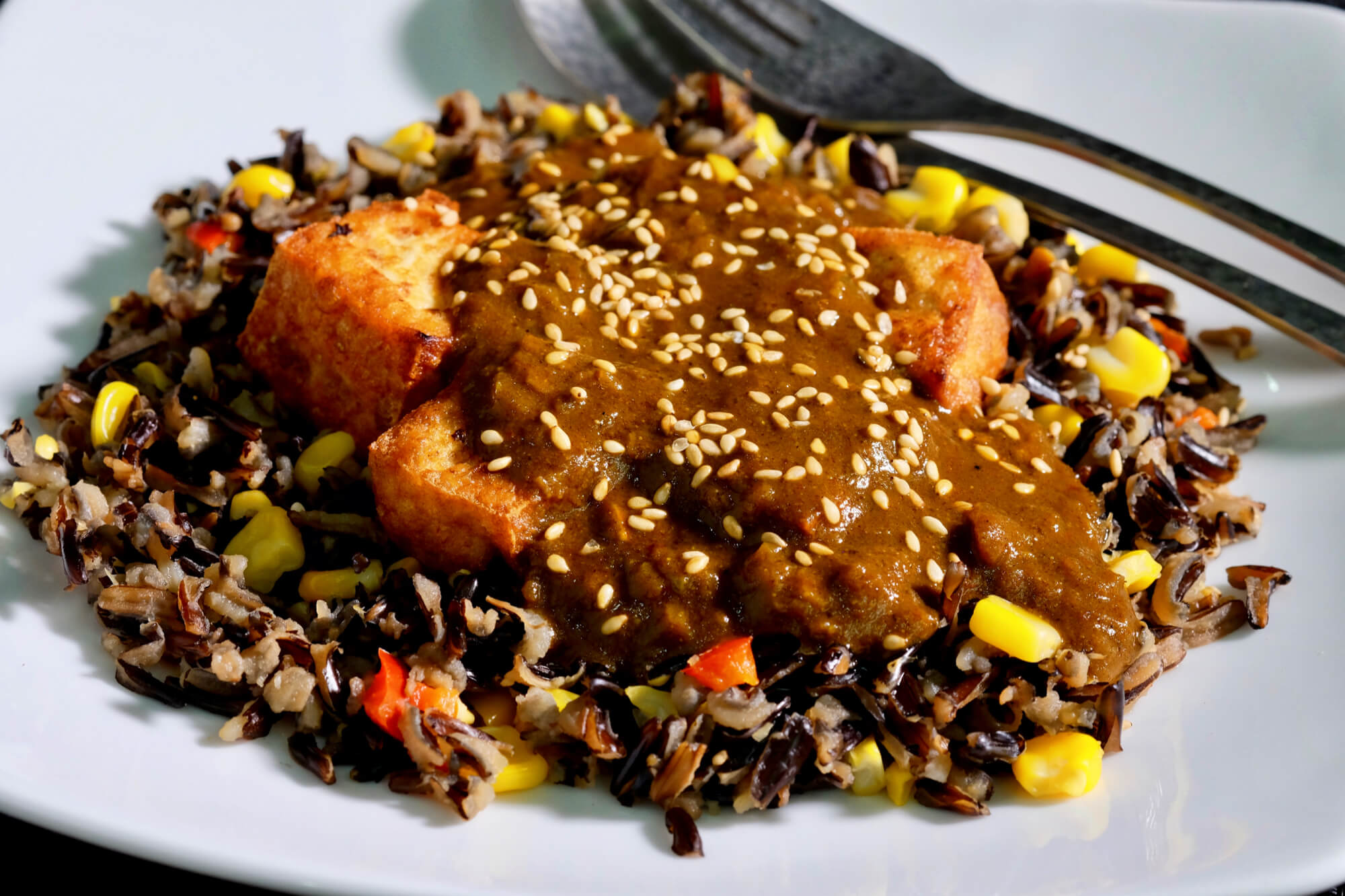Japanese curry sauce on fried tofu and Asian wild rice pilaf delectabilia