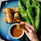 duck-herb-spring-rolls-very-special-sauce