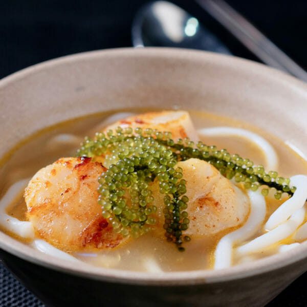 Udon noodles in salmon head broth with seared scallops delectabilia