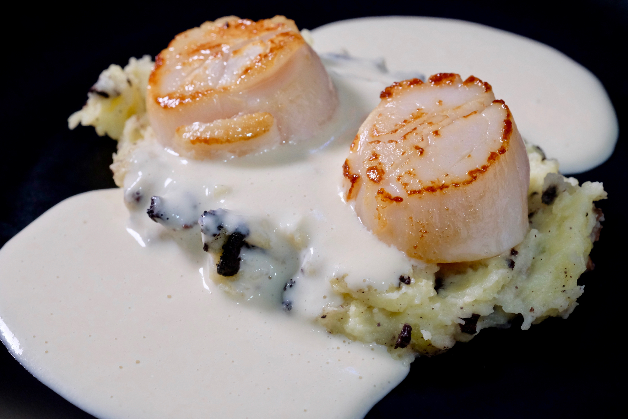 Seared scallops with roasted garlic cream sauce and black pudding mash